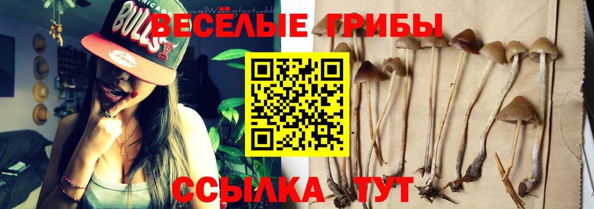 Псилоцибиновые грибы прущие грибы  Вход с VPN  что такое наркотик  Алексеевка 